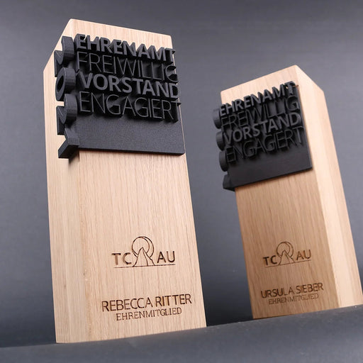 3D Corner Text Award FABIT